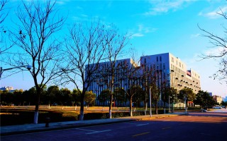 合肥工业大学,2023美术类专业招生计划,2023合肥工业大学美术类专业招生计划