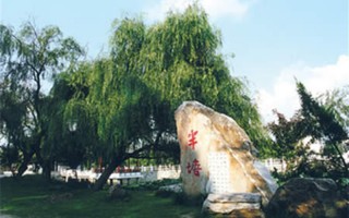 揚州大學,錄取分數線,能源與動力工程專業