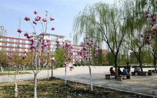 山东协和学院,录取分数线,酒店管理专业