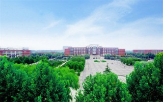 山东协和学院,录取分数线,计算机科学与技术专业
