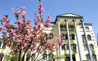山东协和学院,录取分数线,针灸推拿专业