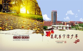 山东华宇工学院,录取分数线,财务管理专业