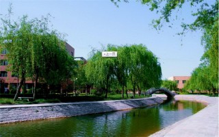 山东华宇工学院,录取分数线,物联网工程专业