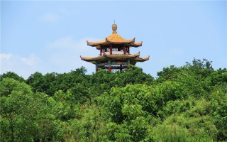 重庆工商职业学院,录取分数线,网络新闻与传播专业