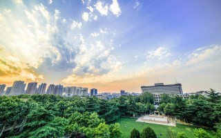 西北大学,艺考录取原则