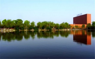 慶大學2022安徽招生計劃,重慶大學招生人