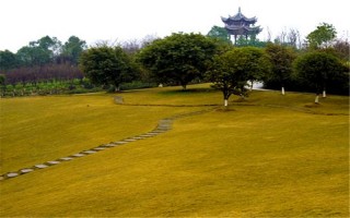 慶大學2022遼寧招生計劃,重慶大學招生人