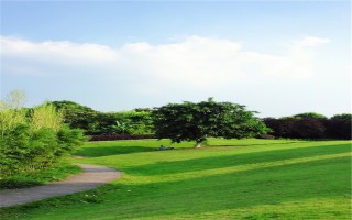 重慶大學,招生計劃