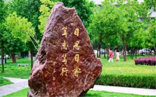 湖北大學2021年藝術類本科專業錄取線