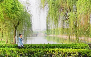 黄冈师范学院,艺考录取原则