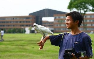 2021宁波大学科学技术学院录取分数线