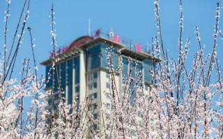 2022南京航空航天大學專業排名及錄取分數線