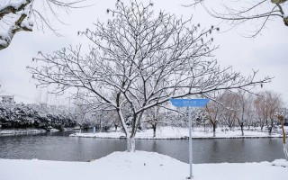 高水平运动队招生简章,上海对外经贸大学,高水平运动员招生信息