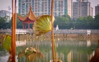 云南理科,長沙民政職業技術學院現代殯葬技術與管理,431分能考上長沙民政職業技術學院嗎