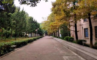 云南理科,長沙民政職業技術學院現代殯葬技術與管理,427分能考上長沙民政職業技術學院嗎