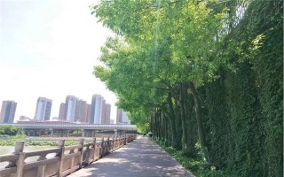 云南理科,長沙民政職業技術學院現代殯葬技術與管理,426分能考上長沙民政職業技術學院嗎