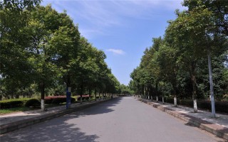 浙江綜合,湖南工學院日語,554分能考上湖南工學院嗎