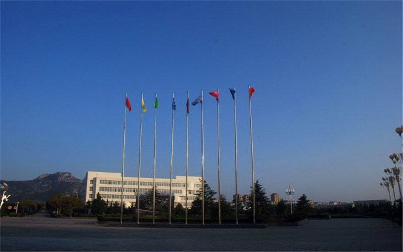 2021山东外事职业大学录取分数线