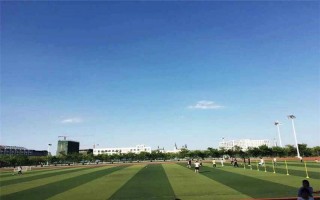 山东外事职业大学,录取分数线,应用俄语专业