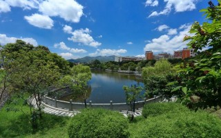 湄洲湾职业技术学院,录取分数线,动漫制作技术专业