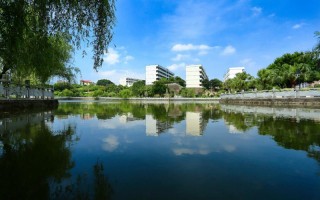 湄洲湾职业技术学院,录取分数线,虚拟现实应用技术专业