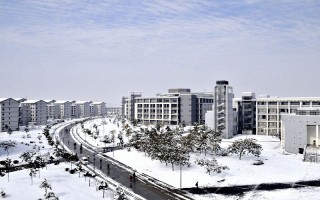 安徽大学,2021,安徽,理工,国家,专项,专业,录取,分数线