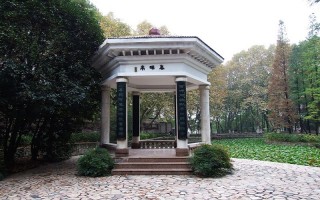 安徽大学,2021,广东,物理,中外,合作,学分,专业,录取,分数线