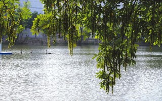 安徽大学,2021,安徽,理工,地方,专项,专业,录取,分数线