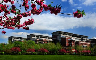 河北大學,錄取分數線,人工智能專業