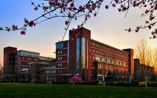 河北大學,錄取分數線,質量管理工程專業