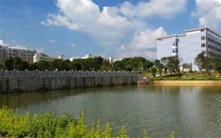 玉林师范学院2021年艺术类本科专业录取分数线