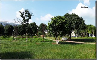 玉林师范学院