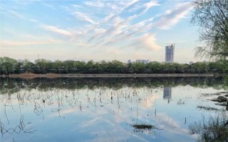 湖南师范大学2021年艺术类专业招生简章