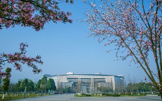 高水平运动队招生简章,西南交通大学,高水平运动员招生信息