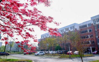 西南交通大学,2023美术类专业招生计划,2023西南交通大学美术类专业招生计划