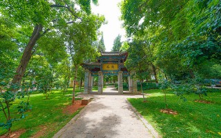 云南大学滇池学院,录取分数线,泰语专业