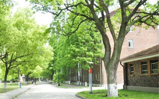2021苏州大学录取分数线