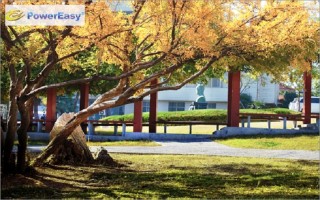 2021淮北师范大学录取分数线