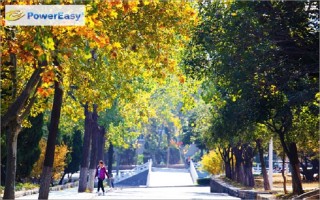 2021淮北师范大学录取分数线