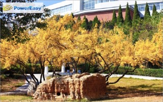 2021淮北师范大学录取分数线