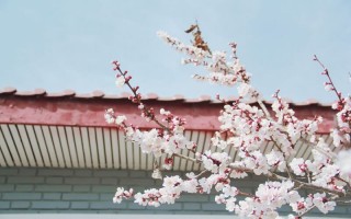 2021兰州大学录取分数线