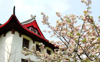 川大学2022湖南招生计划,四川大学招生人