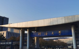 河海大学2022年高水平艺术团校考认定结果