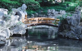 旦大学2022安徽招生计划,复旦大学招生人
