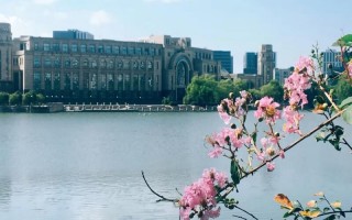 旦大学2022北京招生计划,复旦大学招生人