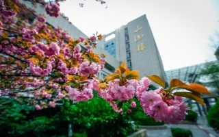 江苏大学京江学院,录取分数线,机械设计制造及其自动化专业