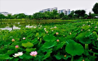 温州大学