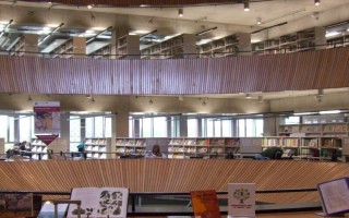 云南农业大学,艺考录取原则