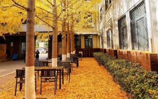 北京服装学院2021年艺术类本科专业录取分数线