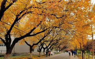 山东师范大学